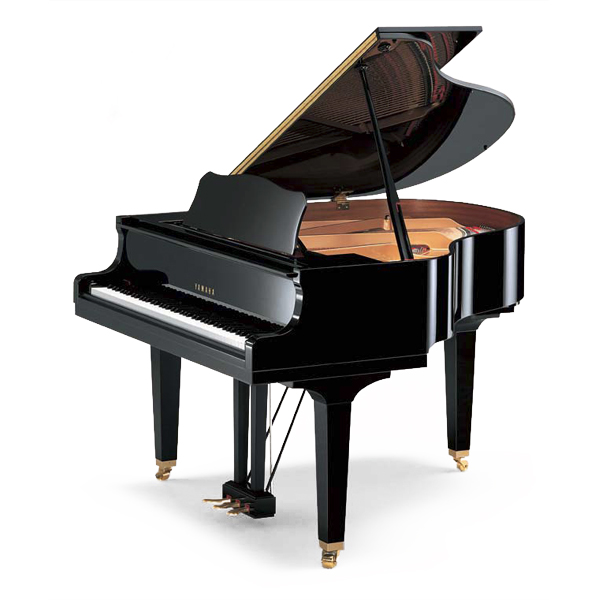 https://www.victoriamusic.hu/ordered/98135/pic/yamaha_zongi.jpg